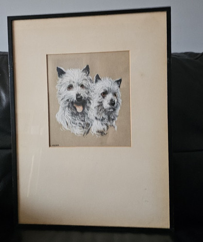 Fraser cairn terriers - "cairn,