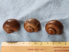 3 Small Authentic Florida