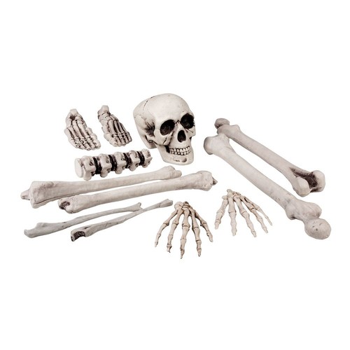 Skull bones 12pc - &,
