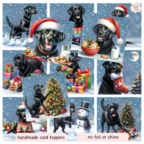 Black labrador dog card - x,