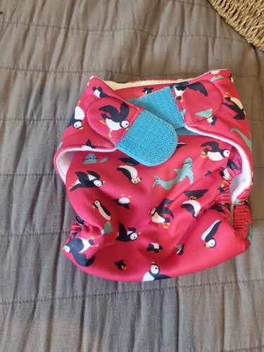 Tot bots swim reusable nappy - reusable,