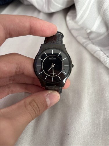Skagen denmark men titanium - men's,