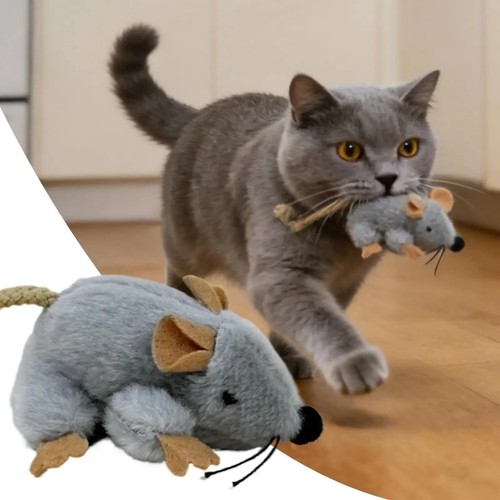 Cat toy mouse - cat,