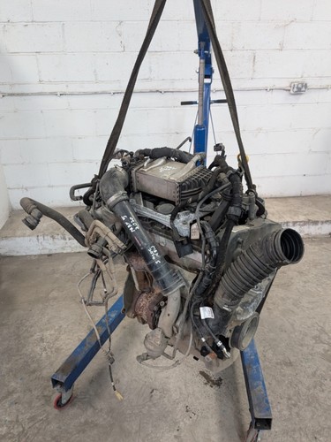 Man tge mk2 - man, 2.0