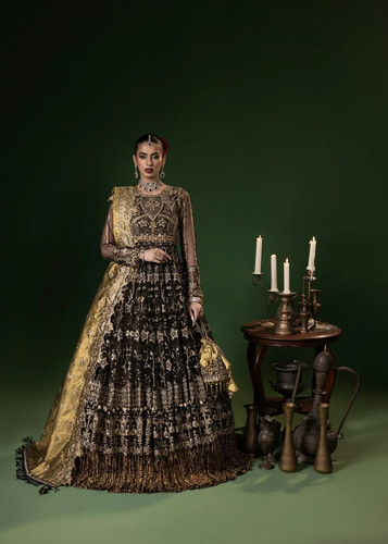 Wedding party wear pakistani - party,
