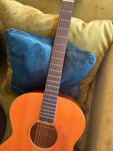 Guy trameleuc acoustic - trameleuc, ah-10