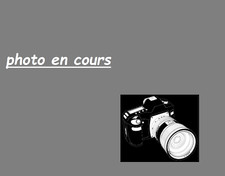 Spring Ring For Pocket Watch