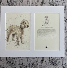 MOUNTED DOG PRINT PAGE ART
