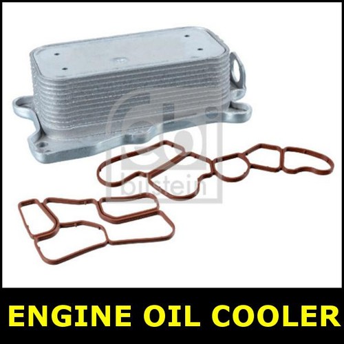 Engine oil cooler - engine,
