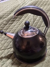 Aga Stainless Steel Whistling