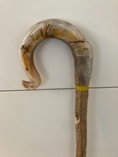 Lovely Rams Horn crook on