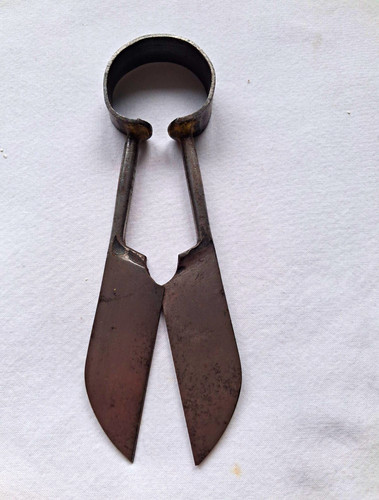 Small vintage metal spring