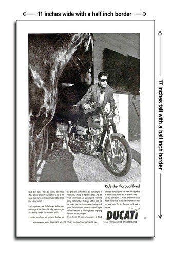 1967 ducati sebring 350cc - 1967,