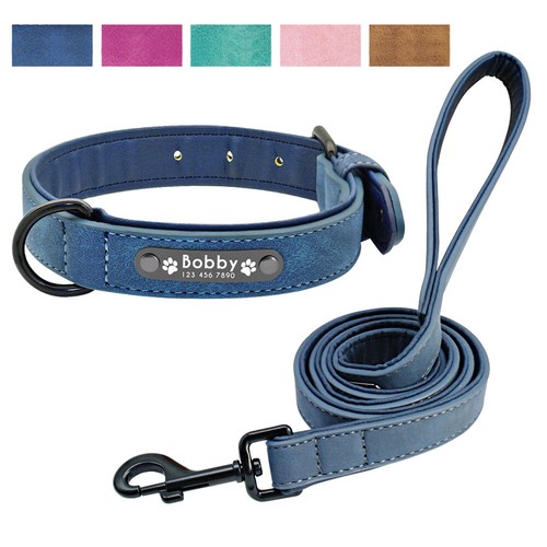 Personalised dog collar - dog, lead