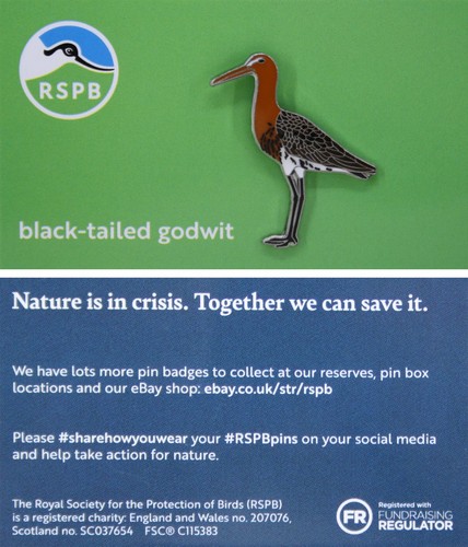 Rspb pin badge - rspb,
