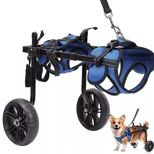 Used disabled injured - disabled,