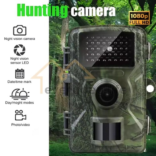 Wildlife hunting trail camera - wildlife,