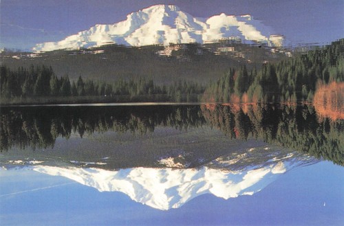 Postcard shasta snow - postcard,