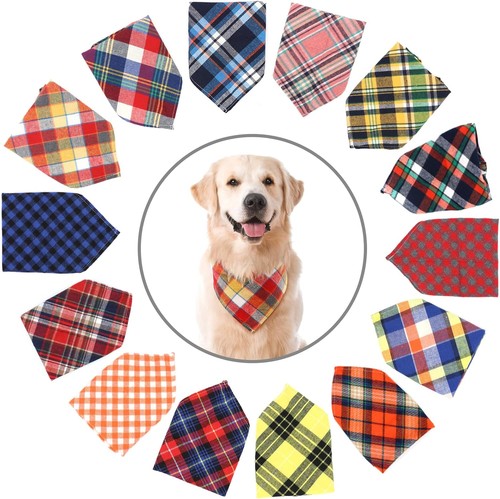 Slson pack dog - slson,