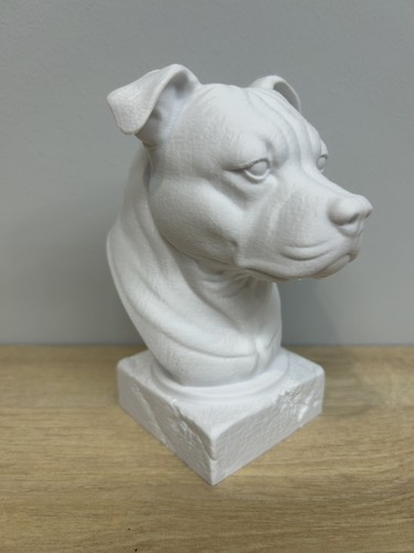 Staffordshire bull terrier - staffordshire,