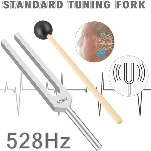 Tuning fork instrument for - tuning,
