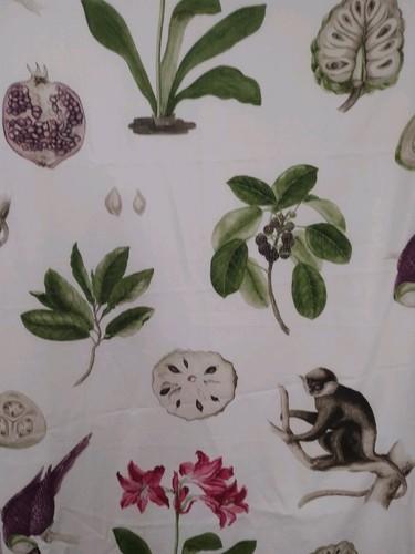 Sanderson capuchins fabric - sanderson, in