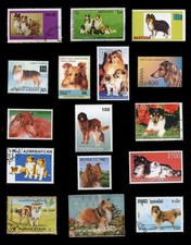 SHETLAND SHEEPDOG SHELTIE DOG