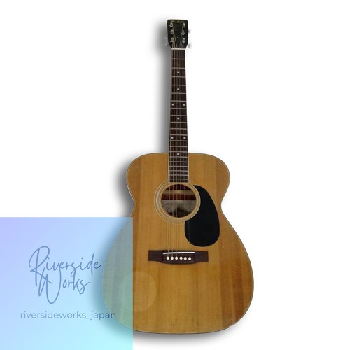 Pro martin 170 acoustic - f-170,