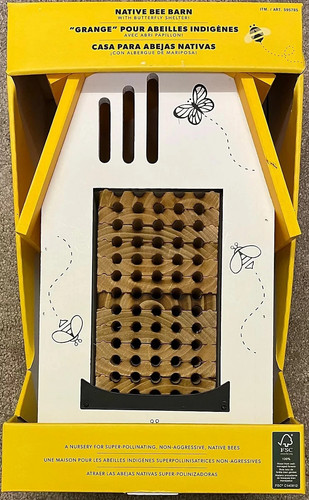 Evergreen native bee - barn, &