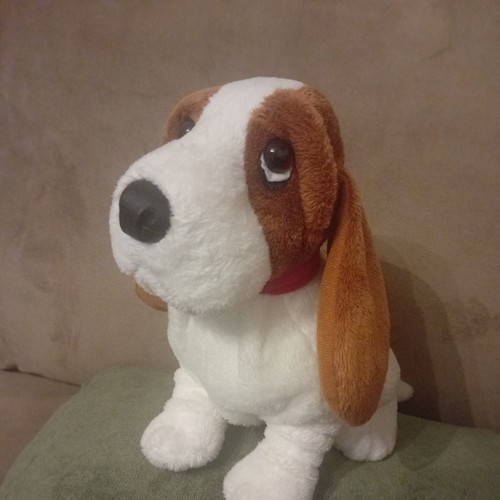 Aurora hush puppies basset - aurora,