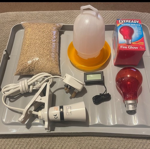 Brooder kit chicken - kit, quails