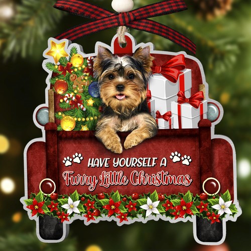 Yorkshire terrier dog - terrier,