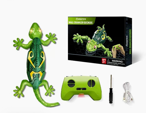 Wall crawler gecko - wall,