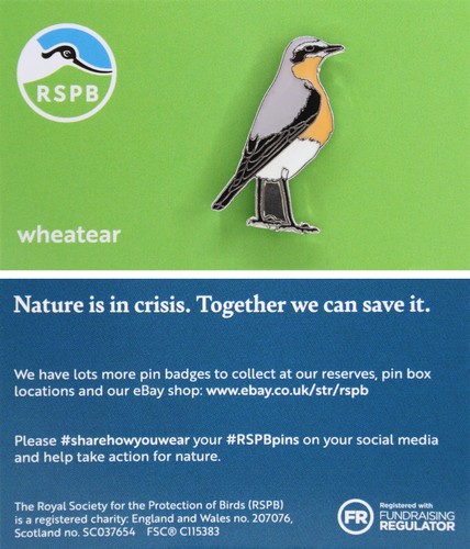 Rspb pin badge niic - rspb,