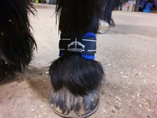 Veredus Pro Wrap Magnetik