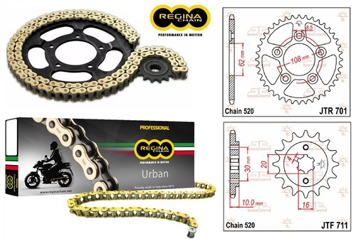 Regina gold chain kit - gold,