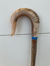 RAMS HORN CROOK HANDLE  stick