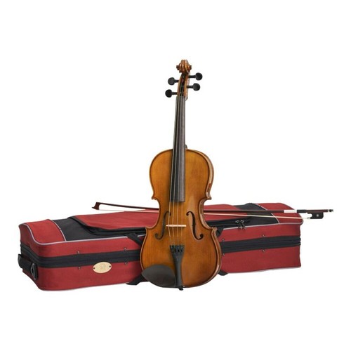 Stentor viola back - 12",