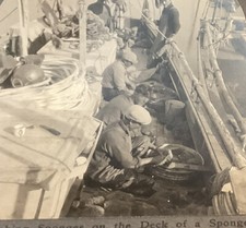 Tarpon Springs FL Washing