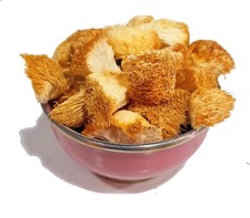 Organic Fresh Dried Lions Mane Mushroom Hericium Erinaceus Brain Memory