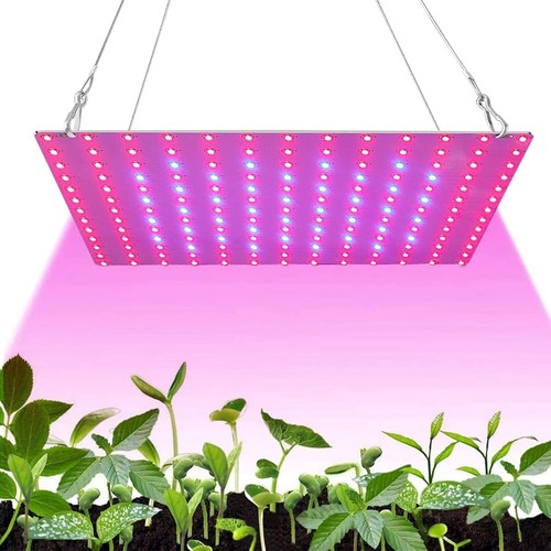 1000w grow light - grow, full