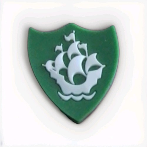 Green blue peter - green, badge