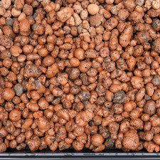 HYDROPHONICS Clay Growing