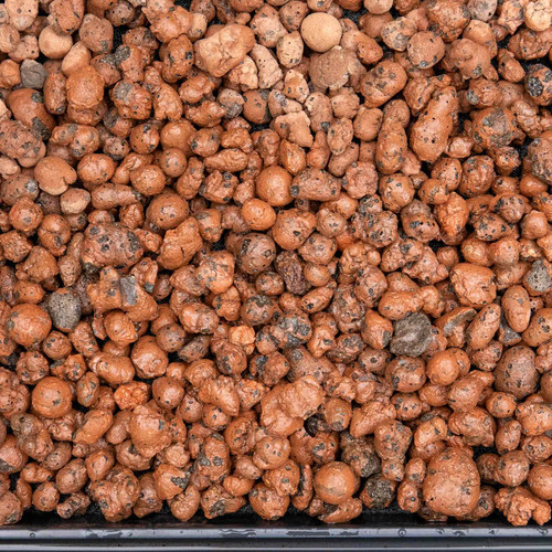 Clay pebbles 20mm - clay,