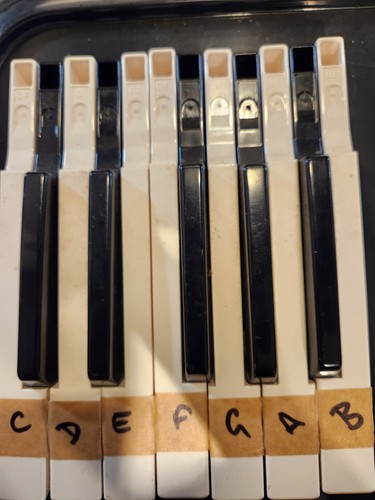 Korg triton spare keys - korg,