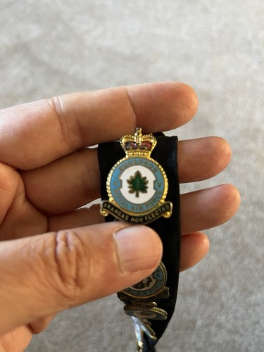 Raf squadron enamel lapel - raf,