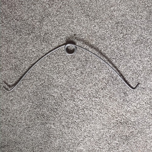 Sheep horn growth spring - , ram