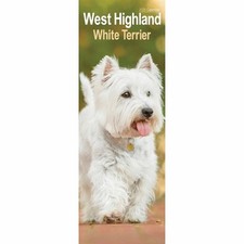 West Highland White Terrier Slim Calendar 2026 - Dogs - Month To View