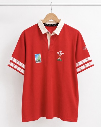 1995 wales rugby union - rugby, home