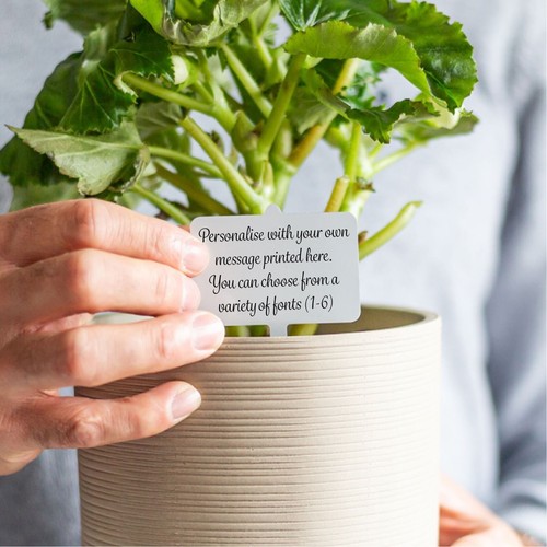 Personalised metal plant - personalised,
